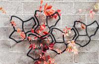 web-ecoo-tessaflower-2022-55.jpg