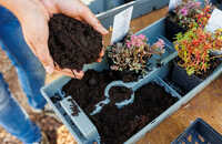 2025-ecoo-garden-compost-bin-terragrow-850l-compost.jpg