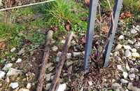 web-jv-ecoo-garden-garden-posts-ecoposts-2.png