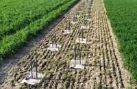 web-jv-ecoo-garden-garden-posts-ecoposts.png