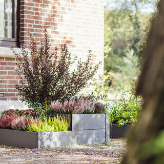 Kitchen Garden