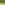 ECOO_2020_Ecolat-7-min.JPG