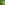 ECOO_2020_Ecolat-11-min.JPG