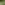 afboording-hout.jpg