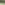 ecoo-2020-ecolat-7.JPG