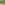 ecoo-2020-moestuinbak-25.JPG
