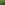 4. Rucola