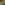 Pyrus Planter_Landscape.jpg