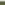 ecoo-moestuininrichting-ecoplanc-diy-planken.jpg